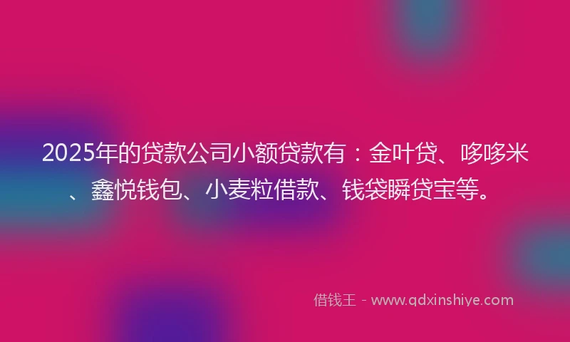 2025年的贷款公司小额贷款有：金叶贷、哆哆米、鑫悦钱包、小麦粒借款、钱袋瞬贷宝等。