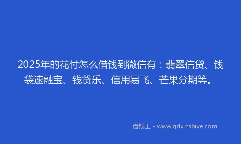 2025年的花付怎么借钱到微信有：翡翠信贷、钱袋速融宝、钱贷乐、信用易飞、芒果分期等。