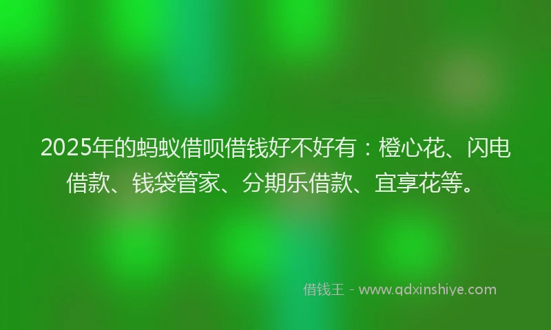 2025年的蚂蚁借呗借钱好不好有：橙心花、闪电借款、钱袋管家、分期乐借款、宜享花等。