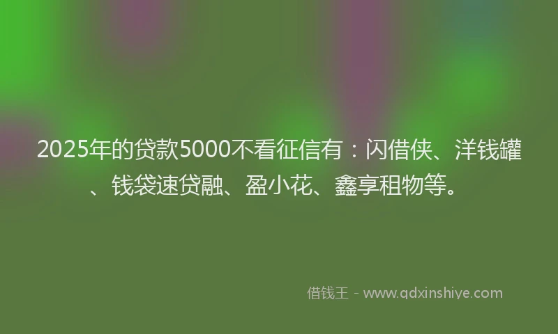 2025年的贷款5000不看征信有：闪借侠、洋钱罐、钱袋速贷融、盈小花、鑫享租物等。