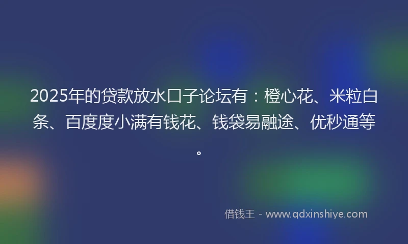 2025年的贷款放水口子论坛有：橙心花、米粒白条、百度度小满有钱花、钱袋易融途、优秒通等。