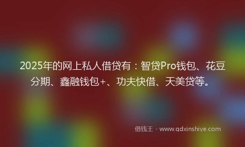 2025年的网上私人借贷有：智贷Pro钱包、花豆分期、鑫融钱包+、功夫快借、天美贷等。