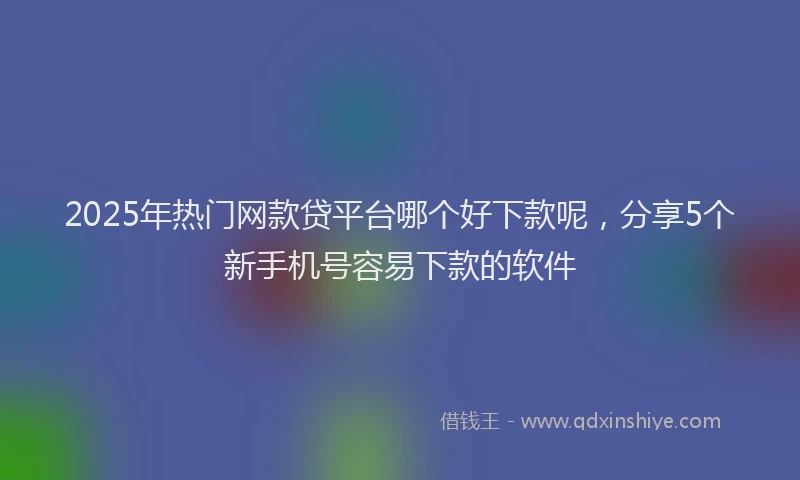2025年热门网款贷平台哪个好下款呢，分享5个新手机号容易下款的软件