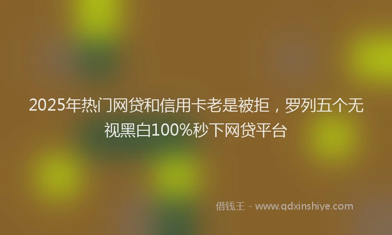 2025年热门网贷和信用卡老是被拒，罗列五个无视黑白100%秒下网贷平台