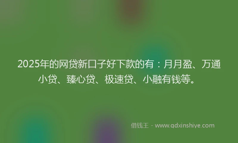 2025年的网贷新口子好下款的有：月月盈、万通小贷、臻心贷、极速贷、小融有钱等。
