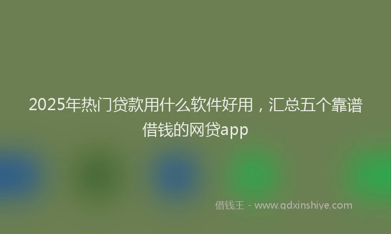 2025年热门贷款用什么软件好用，汇总五个靠谱借钱的网贷app