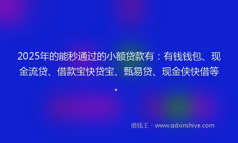 2025年的能秒通过的小额贷款有：有钱钱包、现金流贷、借款宝快贷宝、甄易贷、现金侠快借等。
