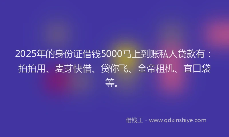 2025年的身份证借钱5000马上到账私人贷款有：拍拍用、麦芽快借、贷你飞、金帝租机、宜口袋等。