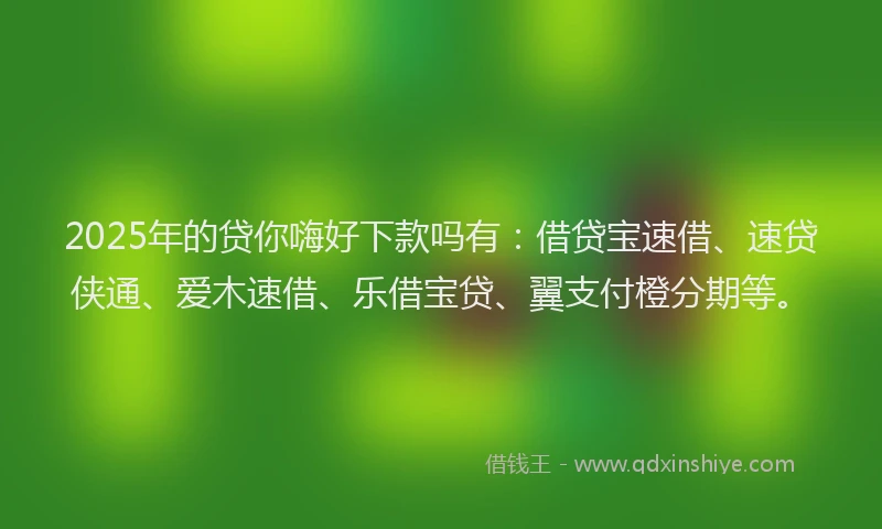 2025年的贷你嗨好下款吗有：借贷宝速借、速贷侠通、爱木速借、乐借宝贷、翼支付橙分期等。
