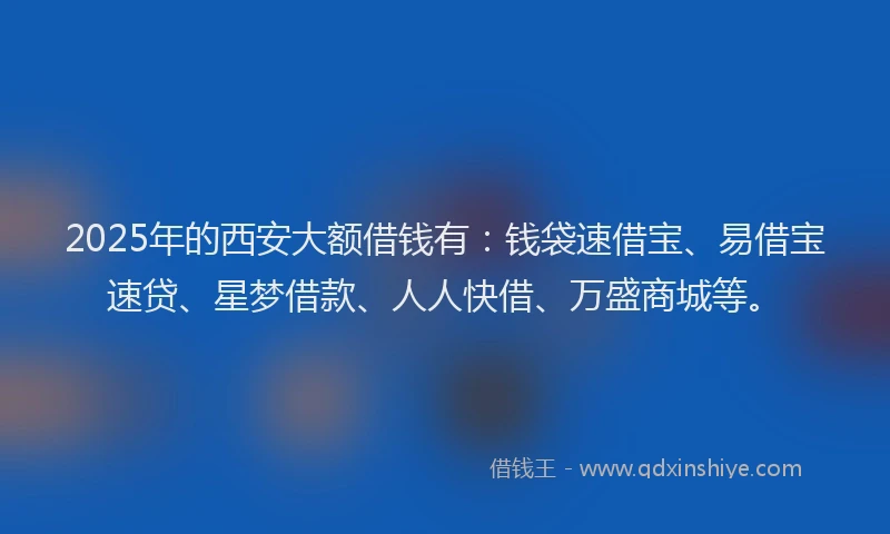 2025年的西安大额借钱有：钱袋速借宝、易借宝速贷、星梦借款、人人快借、万盛商城等。