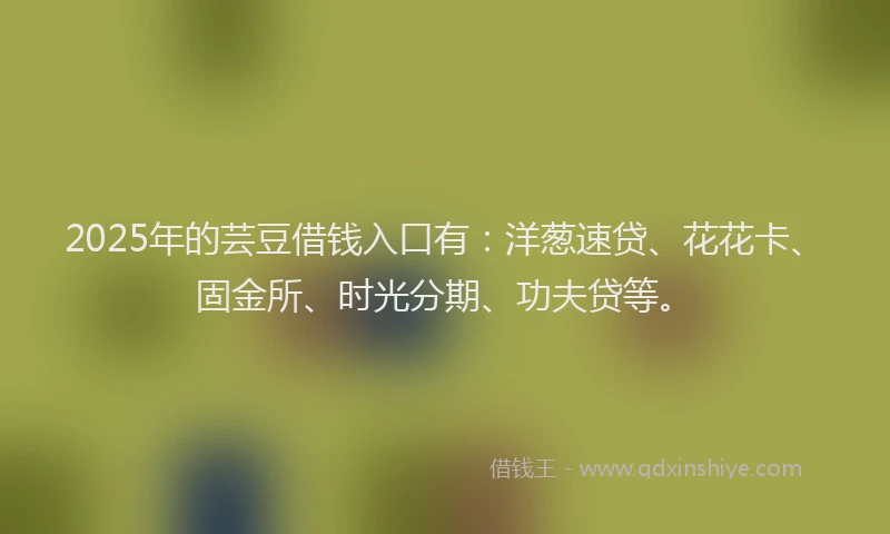 2025年的芸豆借钱入口有：洋葱速贷、花花卡、固金所、时光分期、功夫贷等。