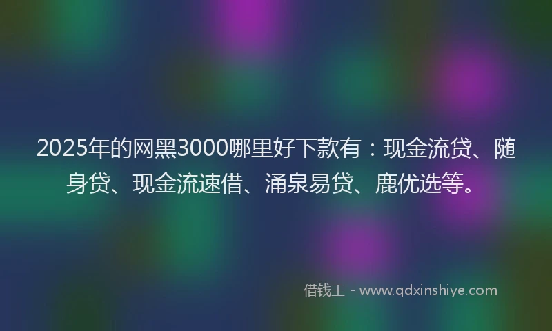 2025年的网黑3000哪里好下款有：现金流贷、随身贷、现金流速借、涌泉易贷、鹿优选等。