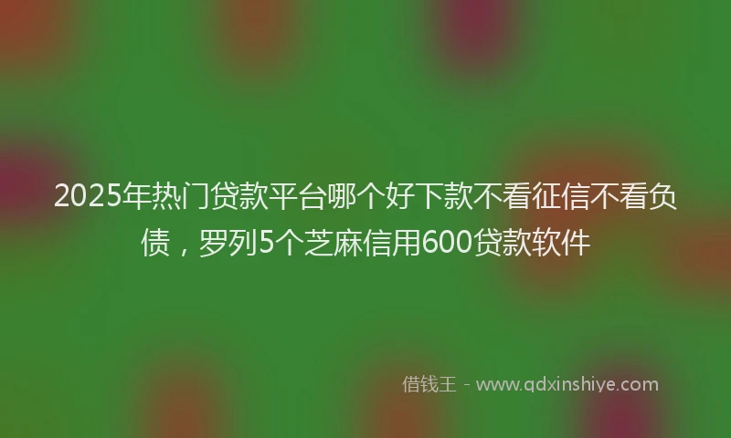 2025年热门贷款平台哪个好下款不看征信不看负债，罗列5个芝麻信用600贷款软件