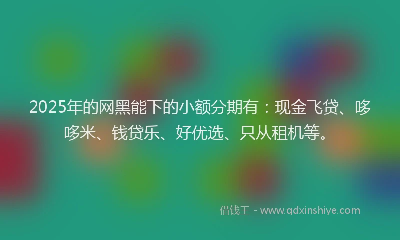 2025年的网黑能下的小额分期有：现金飞贷、哆哆米、钱贷乐、好优选、只从租机等。