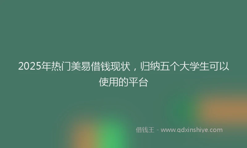 2025年热门美易借钱现状，归纳五个大学生可以使用的平台