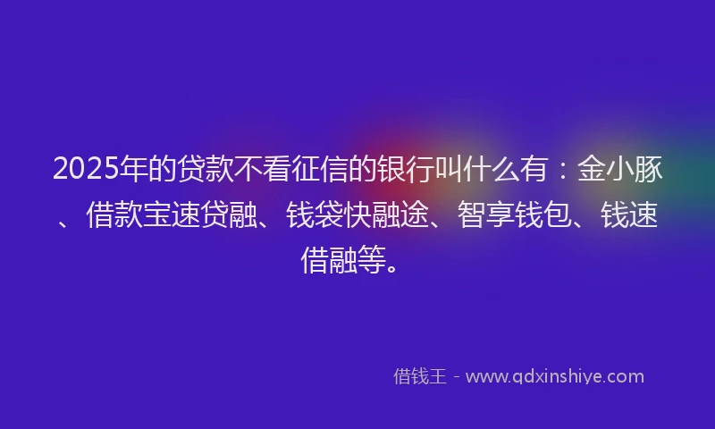 2025年的贷款不看征信的银行叫什么有：金小豚、借款宝速贷融、钱袋快融途、智享钱包、钱速借融等。