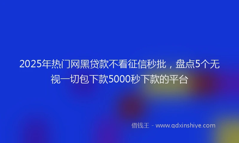 2025年热门网黑贷款不看征信秒批，盘点5个无视一切包下款5000秒下款的平台