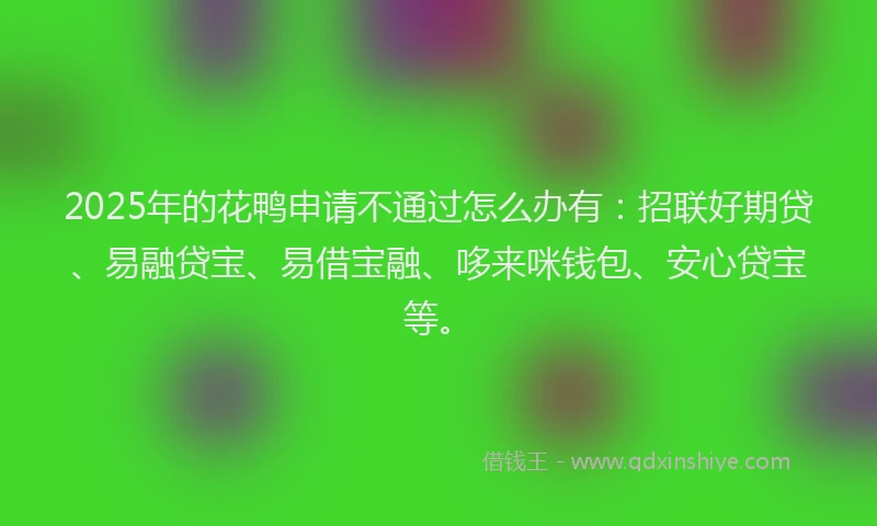 2025年的花鸭申请不通过怎么办有：招联好期贷、易融贷宝、易借宝融、哆来咪钱包、安心贷宝等。