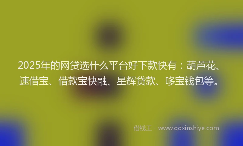 2025年的网贷选什么平台好下款快有：葫芦花、速借宝、借款宝快融、星辉贷款、哆宝钱包等。