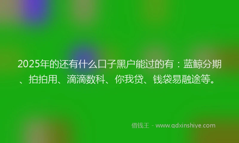 2025年的还有什么口子黑户能过的有：蓝鲸分期、拍拍用、滴滴数科、你我贷、钱袋易融途等。