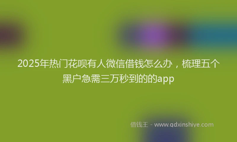 2025年热门花呗有人微信借钱怎么办，梳理五个黑户急需三万秒到的的app
