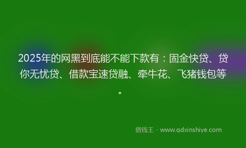 2025年的网黑到底能不能下款有：固金快贷、贷你无忧贷、借款宝速贷融、牵牛花、飞猪钱包等。