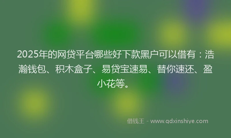 2025年的网贷平台哪些好下款黑户可以借有：浩瀚钱包、积木盒子、易贷宝速易、替你速还、盈小花等。