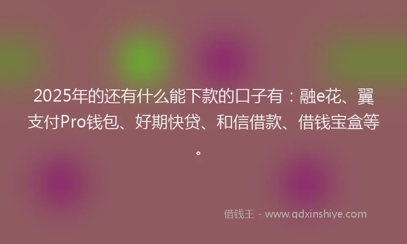 2025年的还有什么能下款的口子有：融e花、翼支付Pro钱包、好期快贷、和信借款、借钱宝盒等。