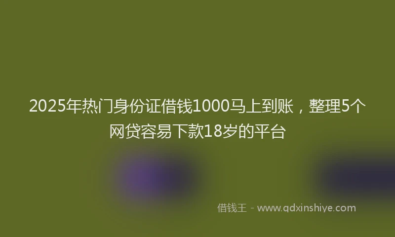 2025年热门身份证借钱1000马上到账，整理5个网贷容易下款18岁的平台