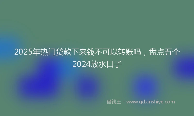 2025年热门贷款下来钱不可以转账吗，盘点五个2024放水口子