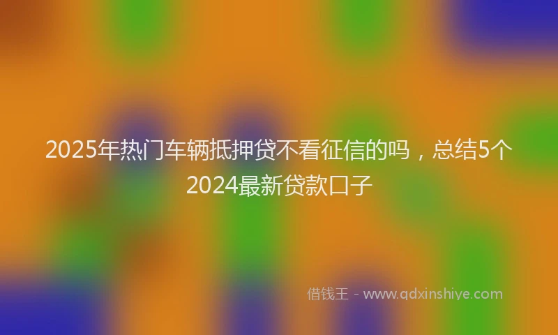 2025年热门车辆抵押贷不看征信的吗，总结5个2024最新贷款口子