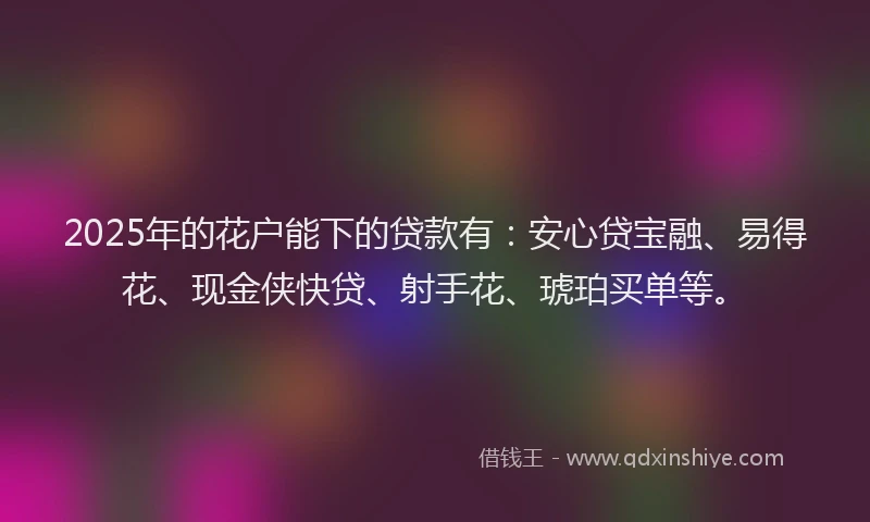 2025年的花户能下的贷款有：安心贷宝融、易得花、现金侠快贷、射手花、琥珀买单等。