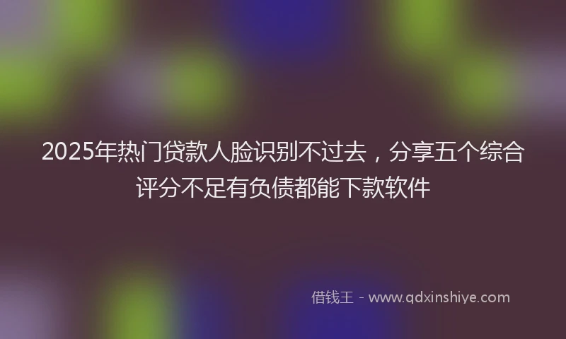 2025年热门贷款人脸识别不过去，分享五个综合评分不足有负债都能下款软件