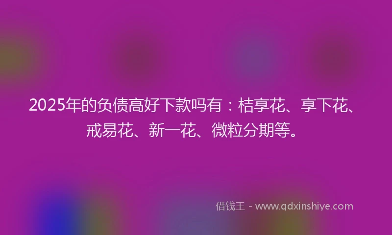 2025年的负债高好下款吗有：桔享花、享下花、戒易花、新一花、微粒分期等。