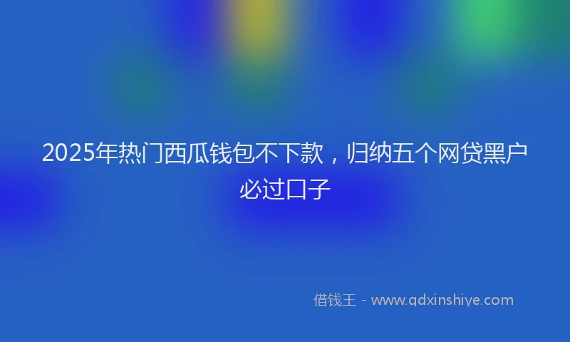 2025年热门西瓜钱包不下款，归纳五个网贷黑户必过口子