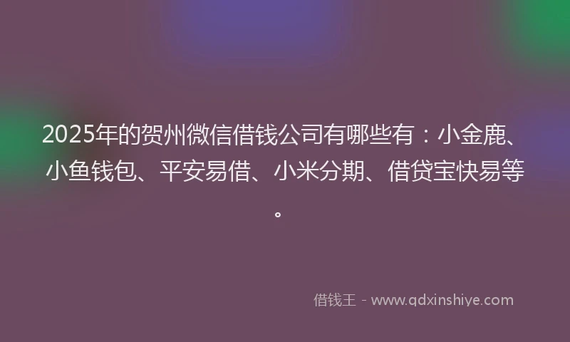 2025年的贺州微信借钱公司有哪些有：小金鹿、小鱼钱包、平安易借、小米分期、借贷宝快易等。