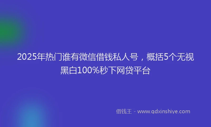 2025年热门谁有微信借钱私人号，概括5个无视黑白100%秒下网贷平台