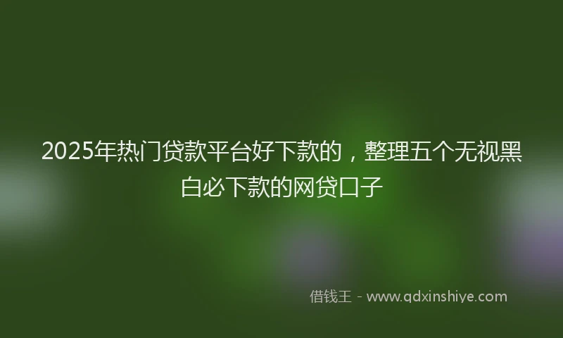 2025年热门贷款平台好下款的，整理五个无视黑白必下款的网贷口子