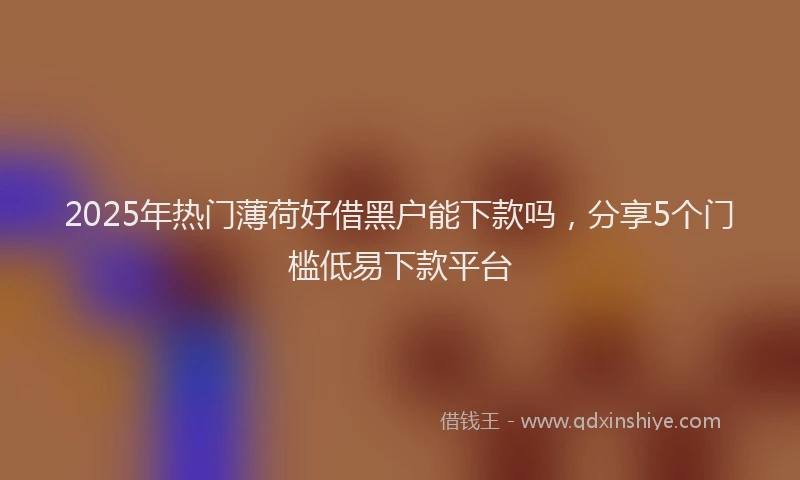 2025年热门薄荷好借黑户能下款吗，分享5个门槛低易下款平台