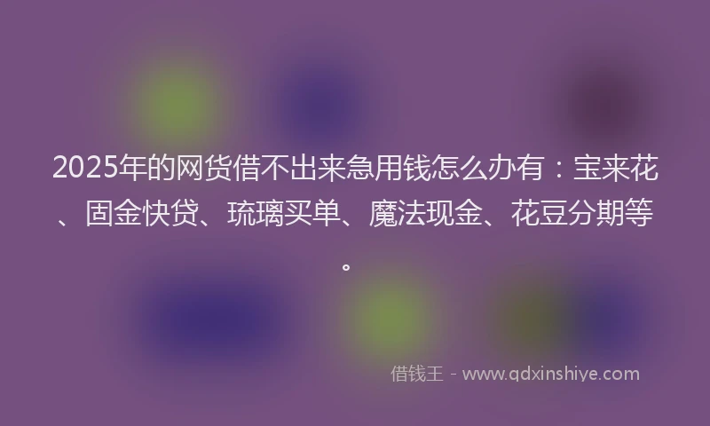 2025年的网货借不出来急用钱怎么办有：宝来花、固金快贷、琉璃买单、魔法现金、花豆分期等。