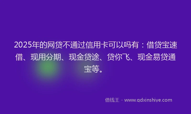 2025年的网贷不通过信用卡可以吗有：借贷宝速借、现用分期、现金贷途、贷你飞、现金易贷通宝等。