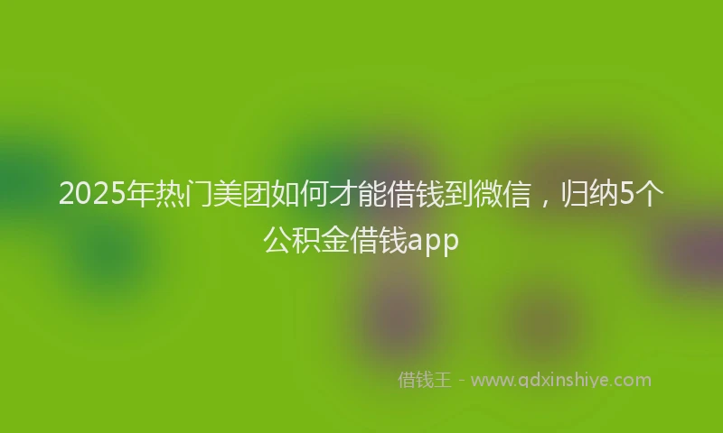 2025年热门美团如何才能借钱到微信，归纳5个公积金借钱app