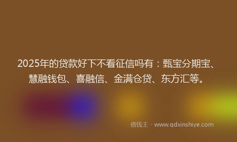 2025年的贷款好下不看征信吗有：甄宝分期宝、慧融钱包、喜融信、金满仓贷、东方汇等。