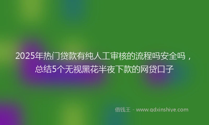 2025年热门贷款有纯人工审核的流程吗安全吗，总结5个无视黑花半夜下款的网贷口子
