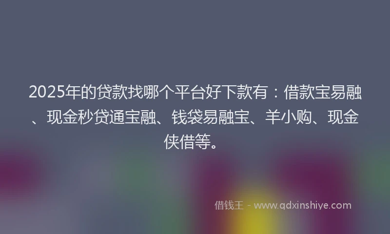2025年的贷款找哪个平台好下款有：借款宝易融、现金秒贷通宝融、钱袋易融宝、羊小购、现金侠借等。