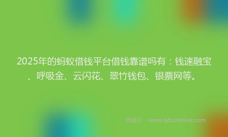 2025年的蚂蚁借钱平台借钱靠谱吗有：钱速融宝、呼吸金、云闪花、翠竹钱包、银票网等。