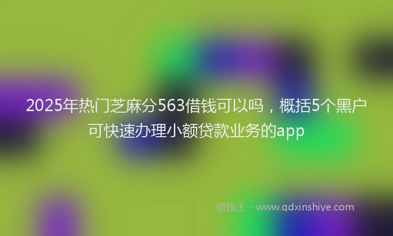 2025年热门芝麻分563借钱可以吗，概括5个黑户可快速办理小额贷款业务的app