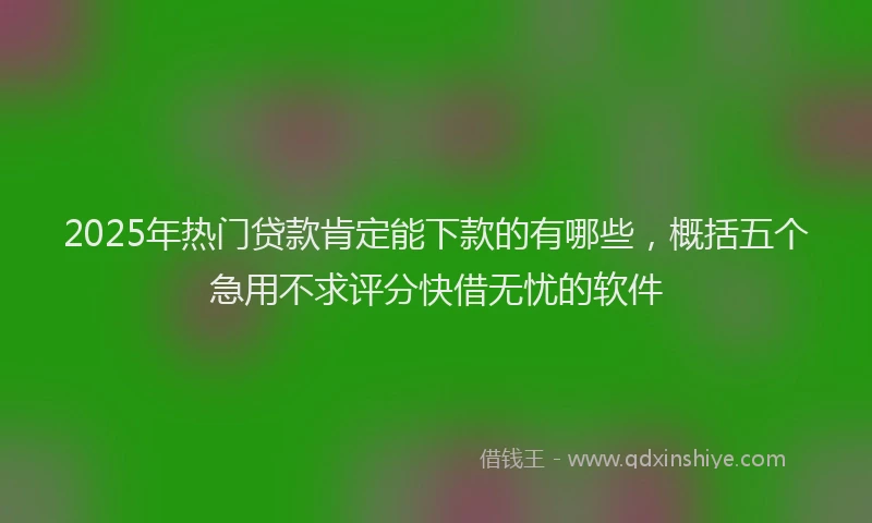 2025年热门贷款肯定能下款的有哪些，概括五个急用不求评分快借无忧的软件