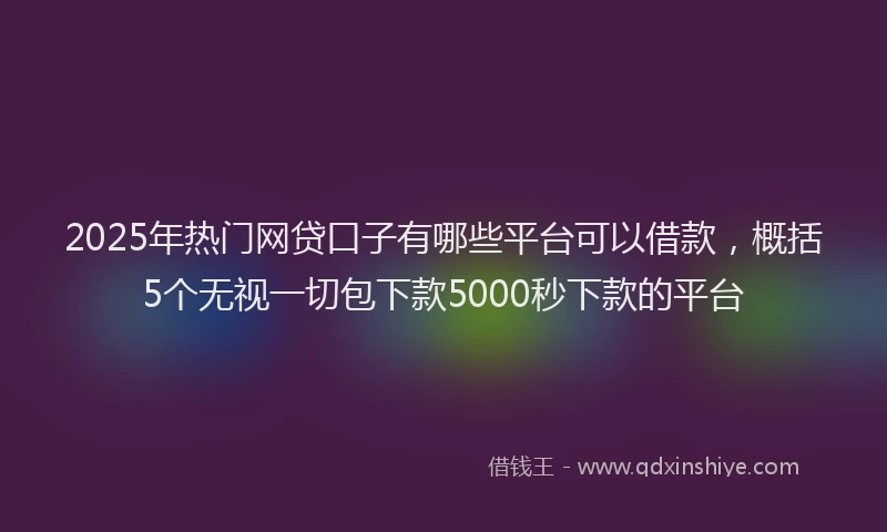 2025年热门网贷口子有哪些平台可以借款，概括5个无视一切包下款5000秒下款的平台