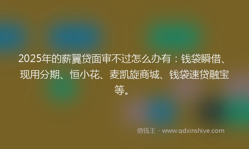 2025年的薪翼贷面审不过怎么办有：钱袋瞬借、现用分期、恒小花、麦凯旋商城、钱袋速贷融宝等。